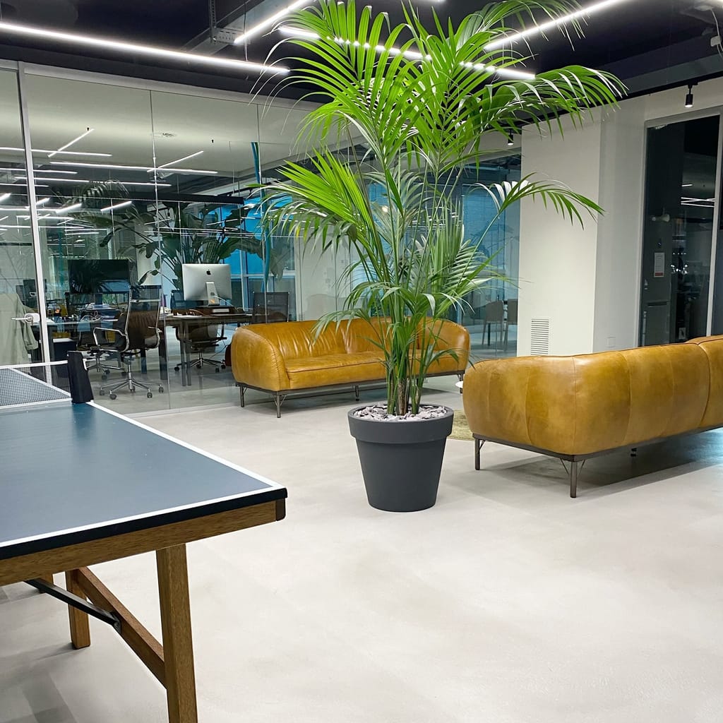 Espace de vie professionnel, sol microciment crème.